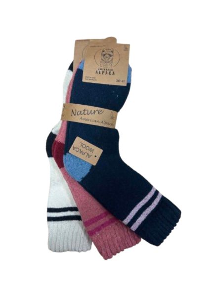 American Alpaca (2)